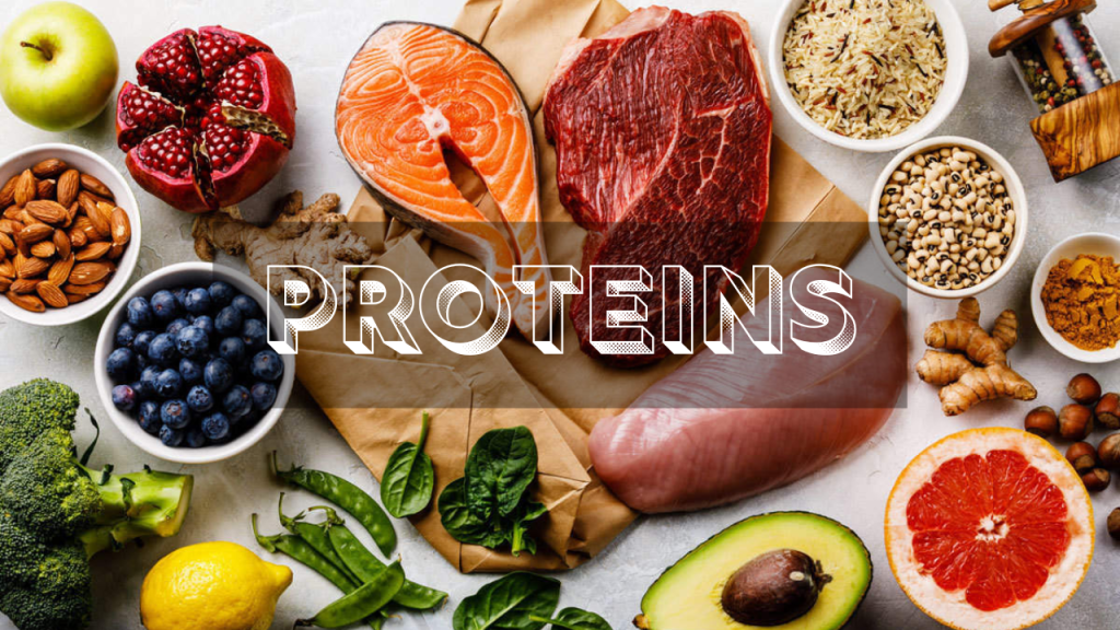 Add Proteins in your diet
