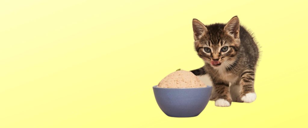 Smalls Cat Food Reviews