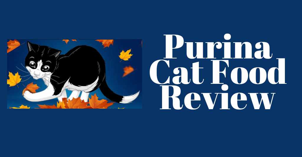 Purina Cat Food Review