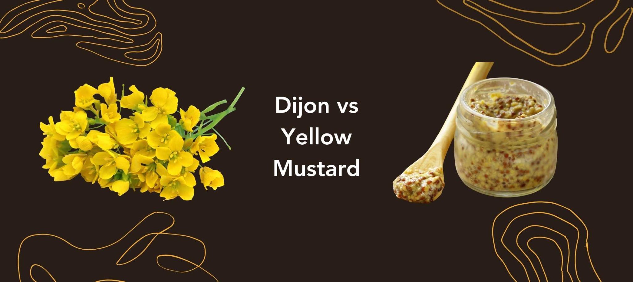 Dijon vs Yellow Mustard A Culinary Guide for Food Lovers