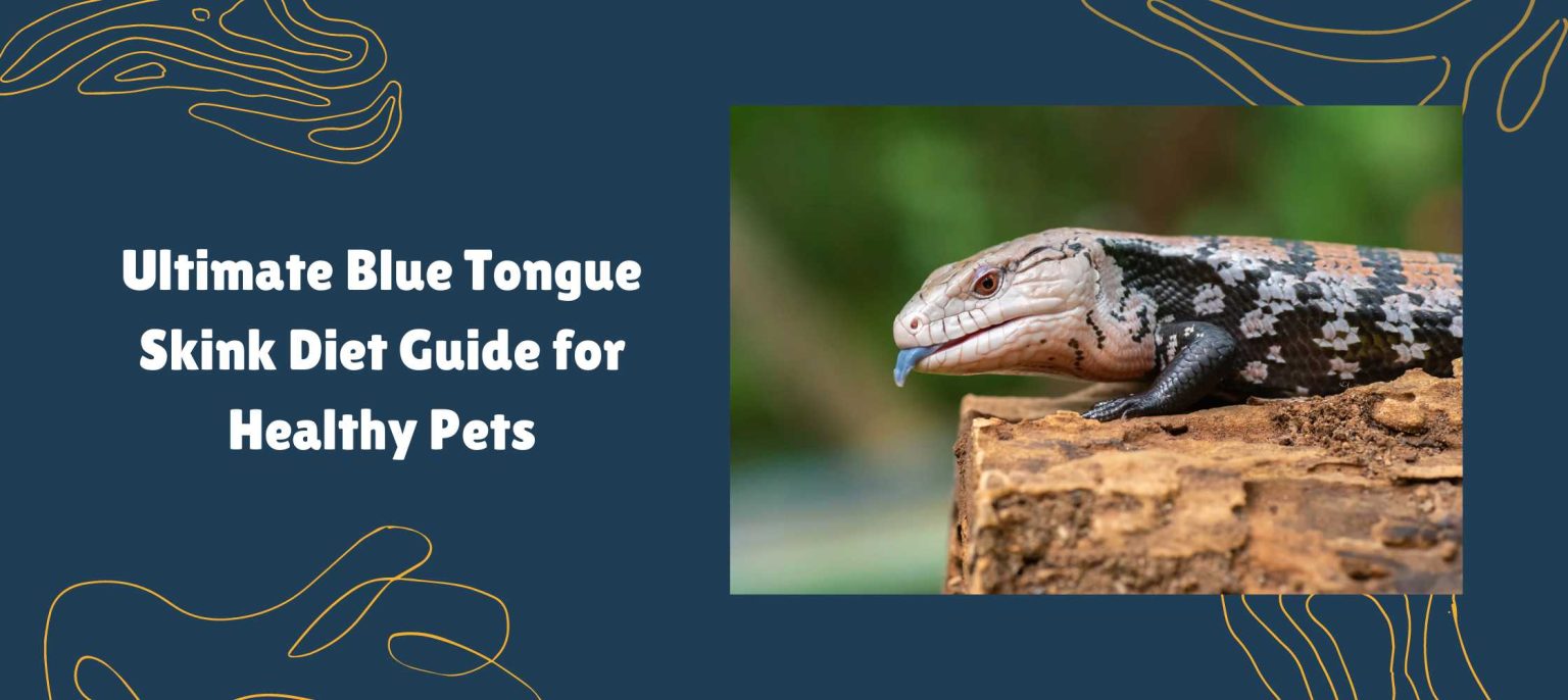 View of Ultimate Blue Tongue Skink Diet Guide for Healthy Pets