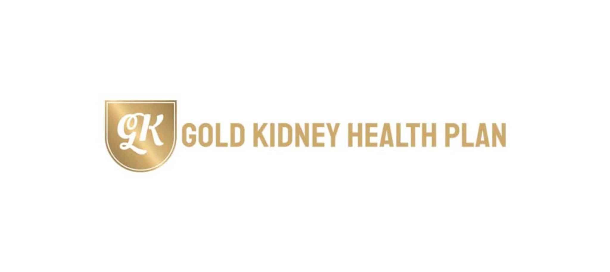 Gold Kidney Health Plan A Guide to Comprehensive Care